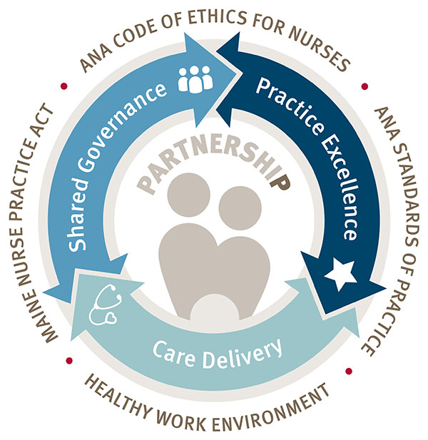 circular chart representing the professional practice model of shared governance, practice excellence, and care delivery
